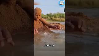 كيف يصطاد الأسماك بالنوم؟ 😴🐟 حقائق  غريب  مثير [upl. by Ades]