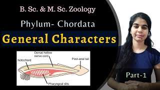 Phylum Chordata  General Characters of Chordata  B Sc amp M Sc  Zoology [upl. by Gneh]