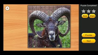 Jigsaw Puzzles Epic Games  EP 25 100 pieces [upl. by Bluefield]