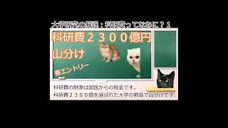 大学研究の解説 科研費ってなあに？１shorts 猫ミーム 猫マニ [upl. by Alburga]