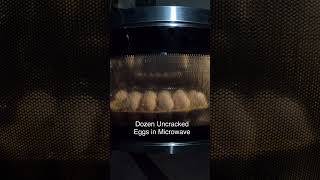 Dozen uncracked eggs in microwave physics experiments viralshorts [upl. by Adidnere]