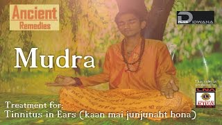 Treatment for Tinnitus in ears  Akash Mudra  Mudra Therapy  Ancient Remedies [upl. by Erreip]