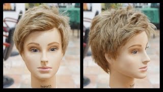 Ellen DeGeneres Pixie Haircut Tutorial  TheSalonGuy [upl. by Eninnaej]