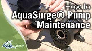 Aquascapes AquaSurge® Pump Maintenance amp Troubleshooting Tips [upl. by Nnodnarb]