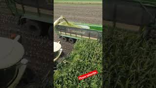 Efficient silage work with the CRONI silage machine—boosting productivity in agriculture [upl. by Nyloj111]