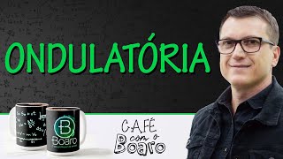 ONDULATÓRIA  EXERCÍCIOS PARA REVISÃO DE FÍSICA  Café com o Professor Boaro [upl. by Irabaj523]