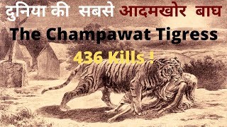 Deadliest Man eater in history  The Champawat Tigress Jim Corbett  Jungle Safari Hindi [upl. by Nooj]