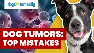 How To Tell If Your Dogs Lump Is Cancer [upl. by Repmek]