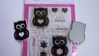 How To Align Stamps With Dies  The Card Grotto [upl. by Lyudmila]