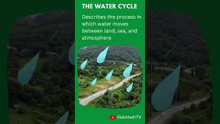 The Water Cycle Facts And Stages [upl. by Xavier]