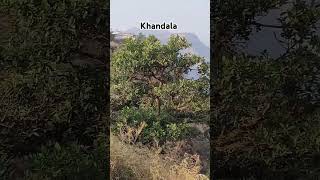 Lonavala khandala ki Pahari [upl. by Knuth]