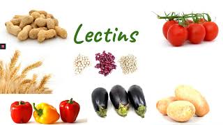 Lectins affecting Histamine Intolerance How to avoid them in my food [upl. by Giuditta]