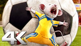 STUART LITTLE 2 Best Scenes 4K ᴴᴰ [upl. by Cecilio440]