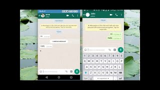 Comment Lire Les Message whatsapp Sans Être vu [upl. by Yeca]