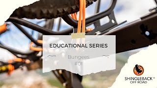 Bungee vs Pedal Strap Pros and Cons  Educational Series [upl. by Klotz711]