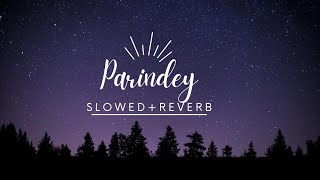 Parindey  B Praak  Slowed amp Reverb  Punjabi song 2024  Lofi Luongo [upl. by Yesnek]