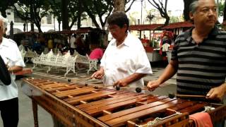 Nereidas  con Marimba en Veracruz [upl. by Itsim524]