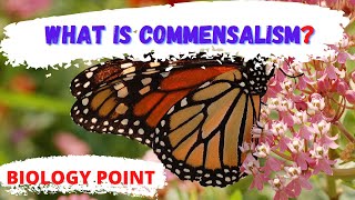 what is commensalism in biology  Commensalism  commensalism meaning  commensalism definition [upl. by Aivatnahs]