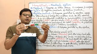 Anatomy amp Physiology 11 Homeostasis in Humans  Negative amp Positive Feedback Mechanism HINDI [upl. by Asennav]