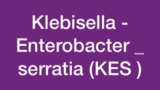 Pathogens outside enteric tract  KES group  Microbiology  Levinson 🌸 [upl. by Ajin410]