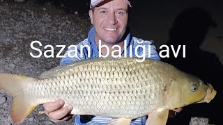 sazankeşfet keşfetteyiz aboneol fishing sazanavi balık fish balikcilik youtuber [upl. by Halullat]