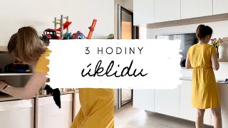 TŘÍHODINOVÝ ÚKLID TÉMĚŘ CELÉHO BYTU🧹 [upl. by Allemahs]