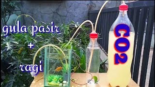 DIY  Cara Membuat Co2 Aquascape Sederhana [upl. by Ilojne]