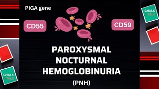 Paroxysmal Nocturnal Hemoglobinuria Understanding PNH [upl. by Hgiel]