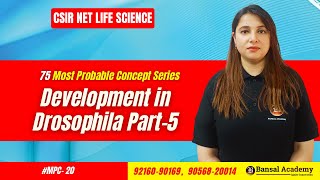 MPC 20 Development in Drosophila Part5 Development Bio Most important topics CSIR NET Life Science [upl. by Corb]