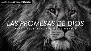 Las Promesas de Dios  Versiculos Biblicos Para Dormir [upl. by Eliezer111]