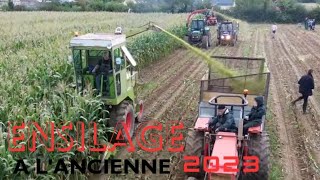 Ensilage à lancienne 2023  OuvilleManche50 [upl. by Alakcim]