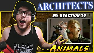 Architects  Animals Orchestral Version  Live at Abbey Road  REACTION  REVIEW [upl. by Yrkcaz338]