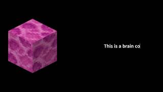 Brain Coral Block  Minecraft [upl. by Budding]