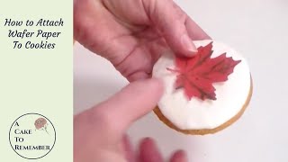 How To Attach Wafer Paper To Cookies Wafer paper and Cake Decorating Tutorials [upl. by Eirollam]