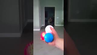 Dog and squeaking Balls reverse video [upl. by Flam311]