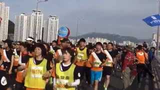 제14회부산바다하프마라톤대회 03출발 10KM [upl. by Aissej444]