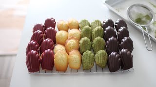 1 Batter to 4 Types of Madeleine Recipe  한가지 반죽으로 4종 마들렌 만드는 법 바닐라 라즈베리 초코 말차 [upl. by Shurlocke]