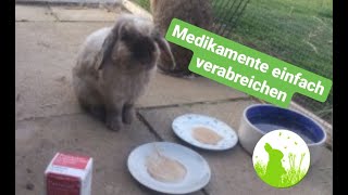 Medikamente stressfrei verabreichen beim Kaninchen [upl. by Terencio]