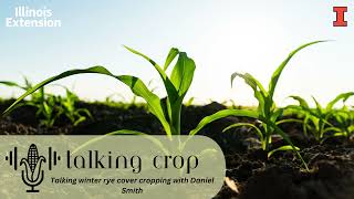 Talking winter rye cover cropping with Daniel Smith  Talking Crop [upl. by Thirzi748]