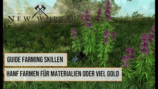 New World Erntearbeit Guide Deutsch  Level 1200  Hanf farmen  Money  Gold amp Ressourcen Making [upl. by Novar]