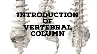 Vertebral column introduction [upl. by Heron220]