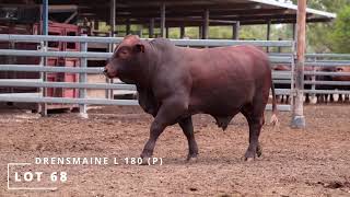 Lot 68 DRENSMAINE L 180 P [upl. by Ahsiei246]