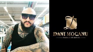 Dani Mocanu  Tot aurul din lume  Official Audio [upl. by Dnomar352]