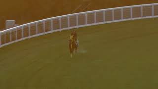 15 October Gallops Gallop 1 [upl. by Yob]