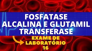 FOSFATASE ALCALINA E GAMA GLUTAMIL TRANSFERASE  ALTERAÇÕES ENZIMAS HEPÁTICAS [upl. by Atela]