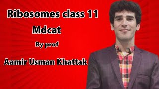 Ribosome Class 11 by sir Aamir Usman khattak [upl. by Arreik]