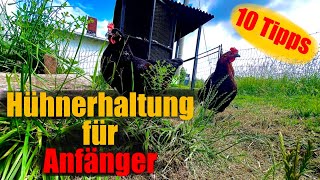 Hühnerhaltung für Anfänger 10 Tipps für den Anfang [upl. by Oisinoid]