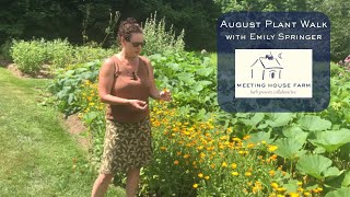 Plant Walk at Meeting House Farm  August 2024 [upl. by Morven]