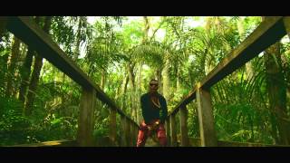 WizKid Feat Femi Kuti  Jaiye Jaiye Official Video [upl. by Lotti646]