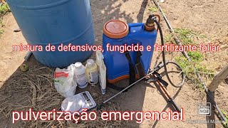 Pode misturar defensivos fungicidas e foliar para pulverizar o maracujá veja nesse vídeo [upl. by Etienne]